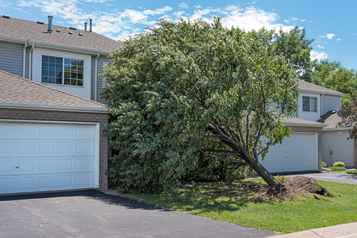 Wind Damage Restoration